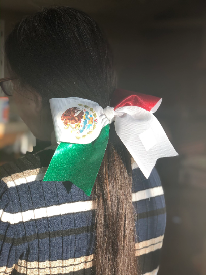 Hair Bow | Mexican Flag